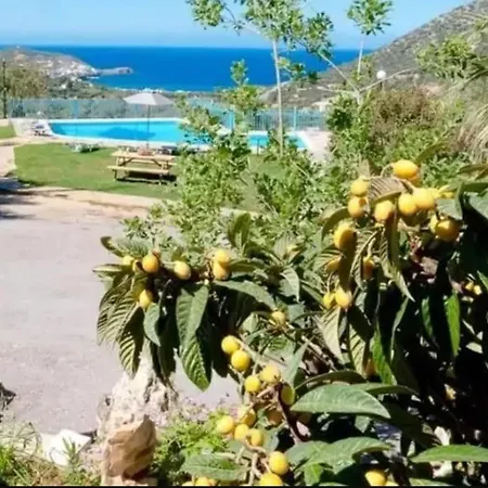 Kardi * Vlikhadha